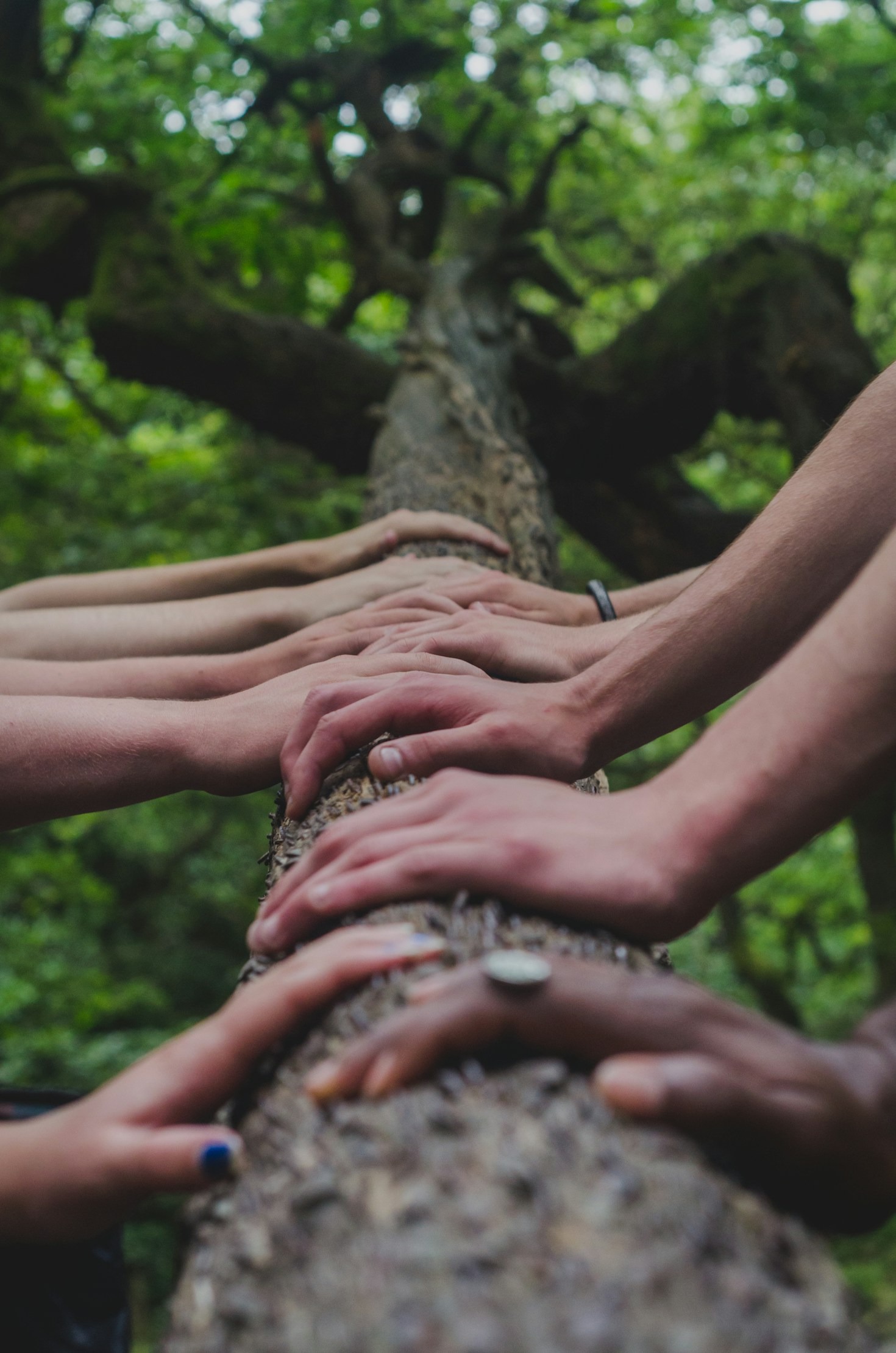 Ways to Mobilize Your Faith for Impact